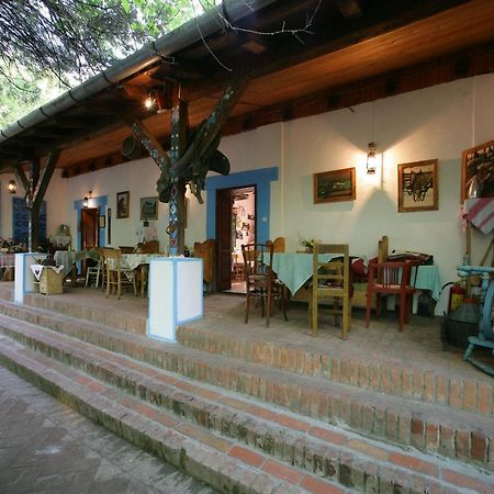 Salas 137 Hotel Cenej Luaran gambar